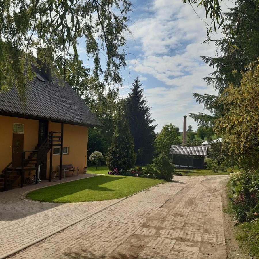 Agroturystyka Brzozowe Wzgorze Wlen Экстерьер фото