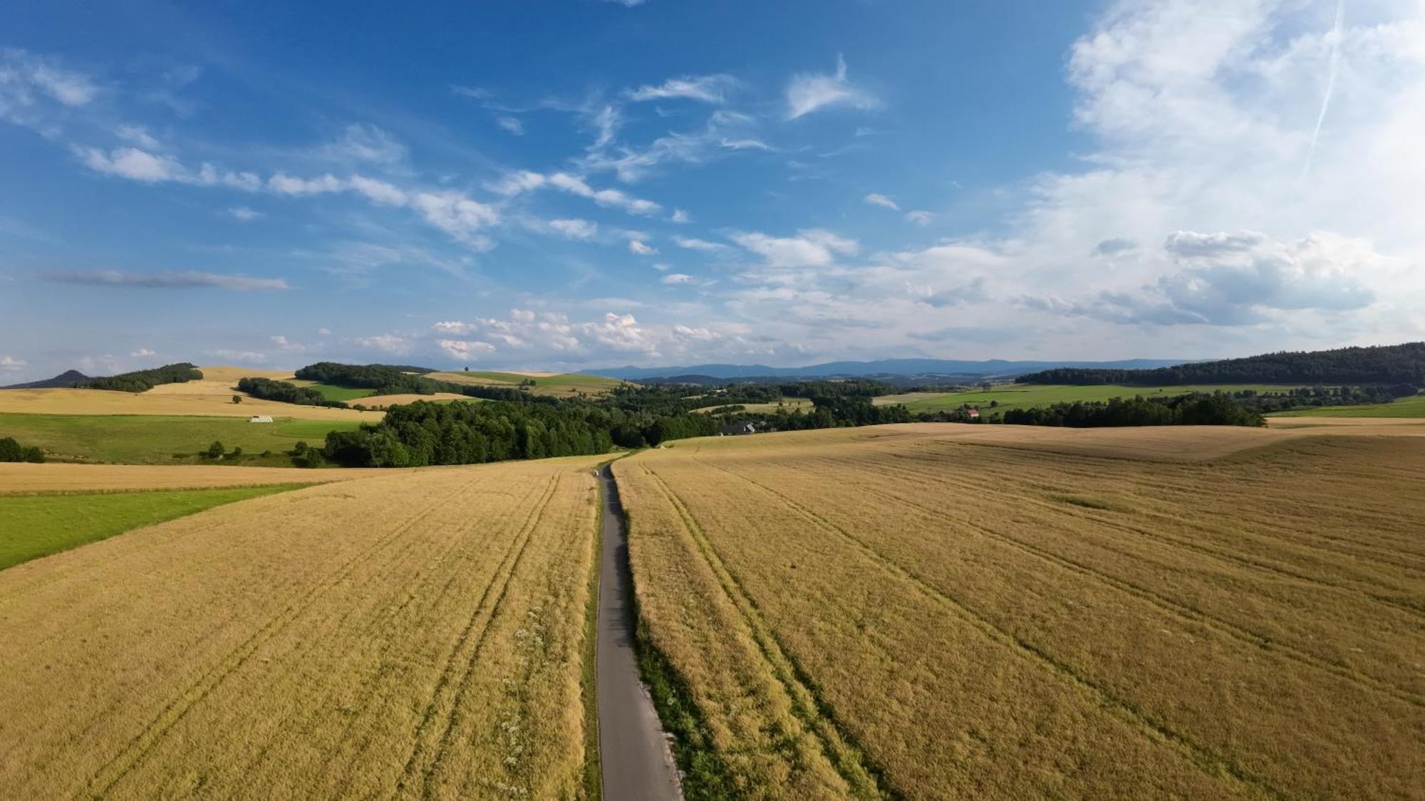 Agroturystyka Brzozowe Wzgorze Wlen Экстерьер фото